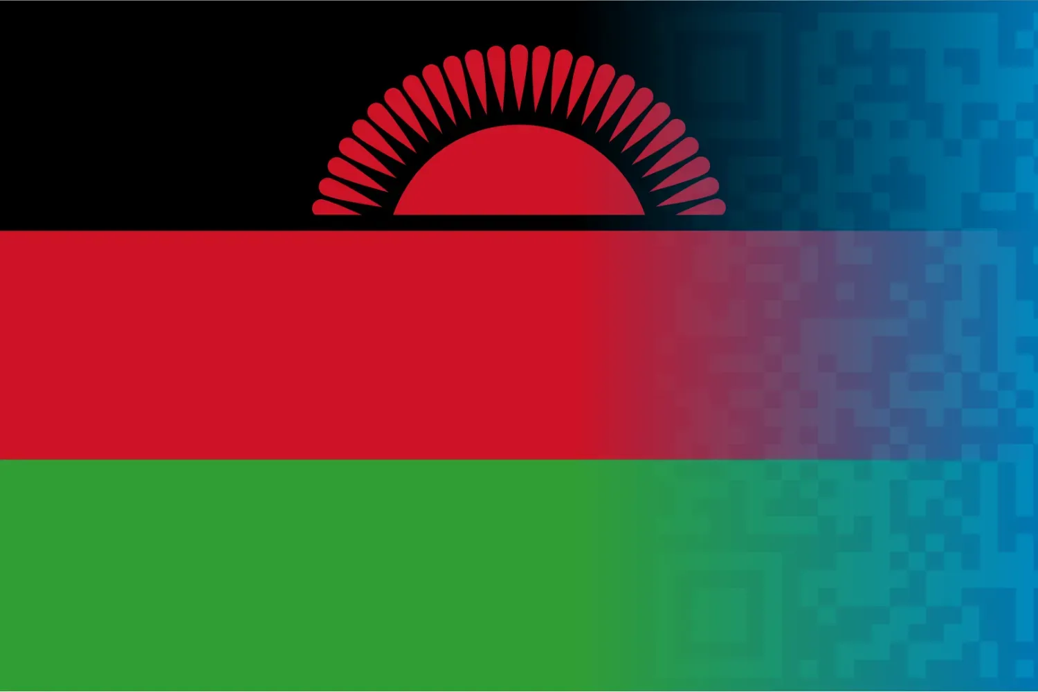 Fiscalization in Malawi: EIS Rollout and Tax Reporting